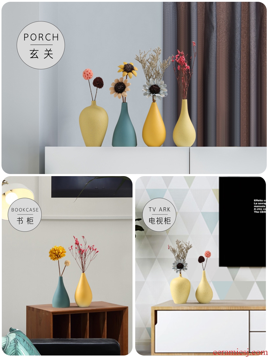Floret bottle furnishing articles sitting room TV cabinet dry flower arranging flowers Nordic style ceramic home porch all over the sky star decoration