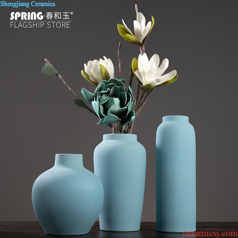 Contemporary and contracted ceramic vase furnishing articles home Nordic living room TV cabinet table soft adornment porch decoration