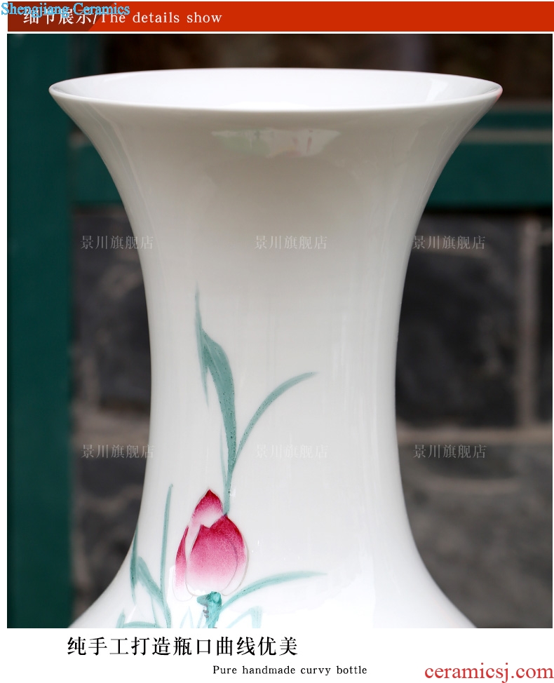Jingdezhen porcelain lotus fish contracted and contemporary sitting room ground vase household study office decoration bottles