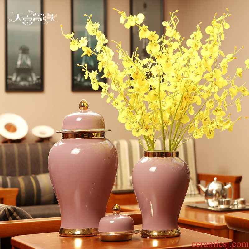 General European ceramic jars of furnishing articles American household living room show originality decorative flower arranging, porch decoration