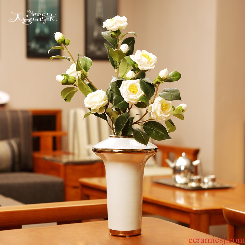 Nordic light luxury furnishing articles creative personality of modern ceramics contracted sitting room of dry vase household decoration table arranging flowers
