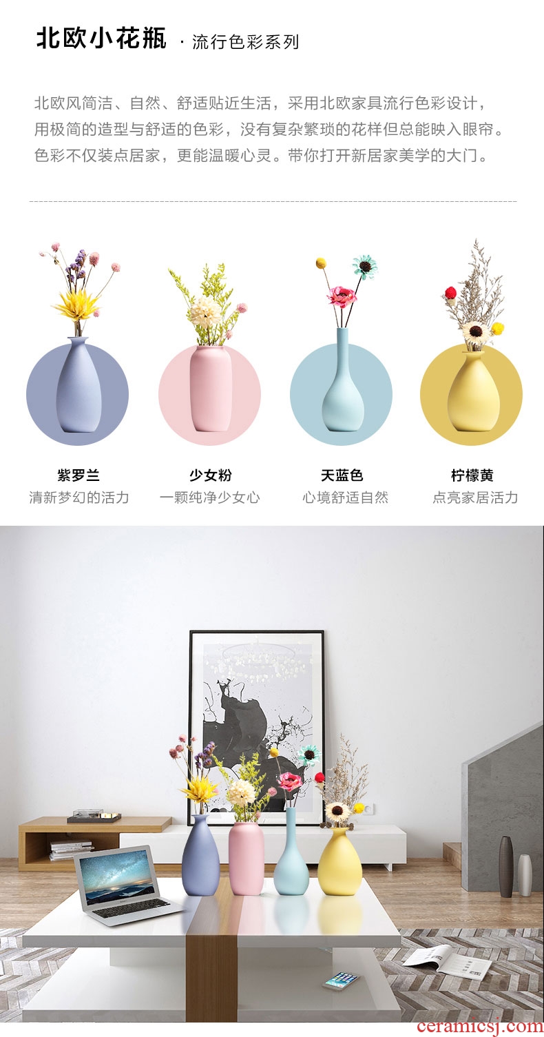 Small pure and fresh and ceramic vase Nordic dried flower adornment furnishing articles flower arranging home TV cabinet table accessories large living room
