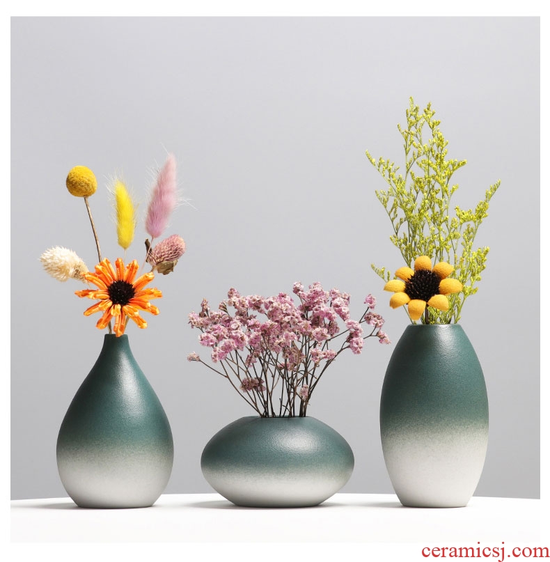 Small pure and fresh and contemporary and contracted sitting room creative flower arranging TV ark furnishing articles home decoration ceramic dry flower flower bottles