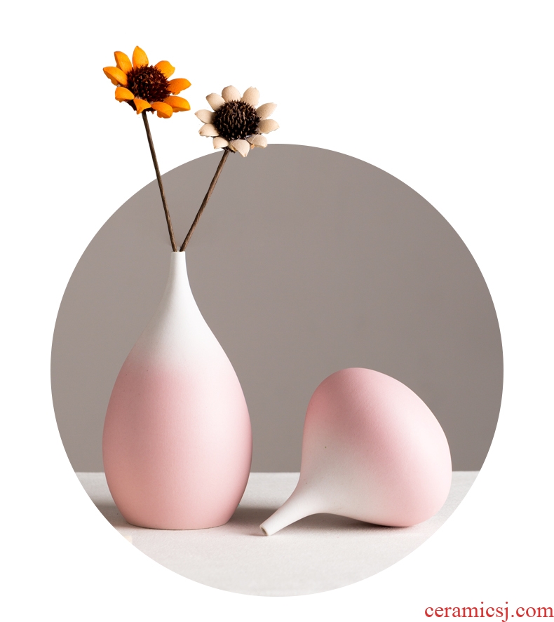 Vase furnishing articles sitting room dry flower arranging flowers small pure and fresh and ceramic home decoration ins wind Nordic sitting room adornment