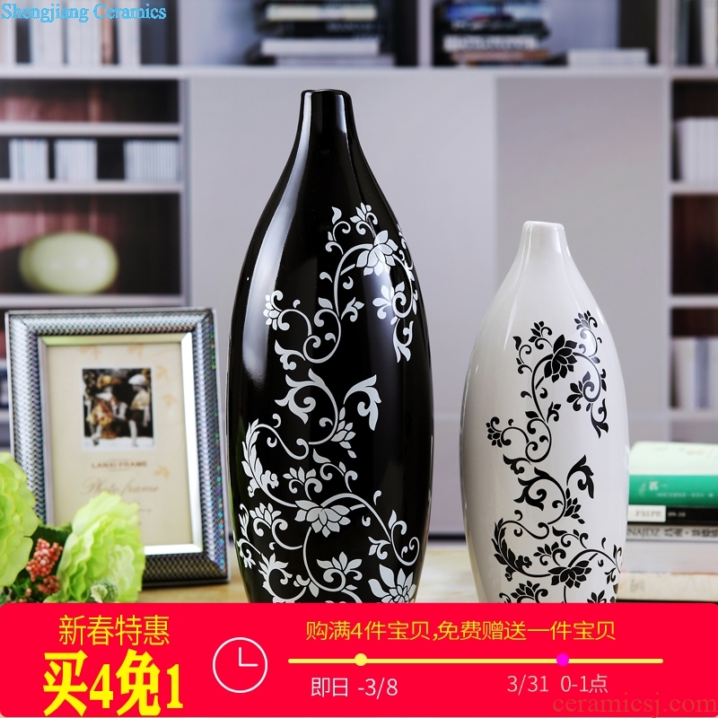 Contemporary and contracted sitting room ark creative arts and crafts porch place TV ark home decoration ceramic vase