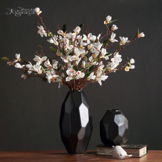 Contemporary and contracted Nordic ceramic vase furnishing articles of the sitting room TV table wine dried flowers, household soft adornment