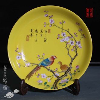 Jingdezhen in yellow flowers and birds yongzheng royal porcelain porcelain jingdezhen high imitation qing porcelain decoration butterfly plate
