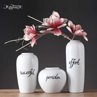 Contemporary and contracted ceramic vase furnishing articles European contracted creative living room TV cabinet flower arranging, home decoration