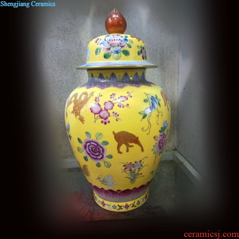 Jingdezhen Chinese zodiac general can spend life of ceramic bottle plum colored enamel porcelain jar may bottle