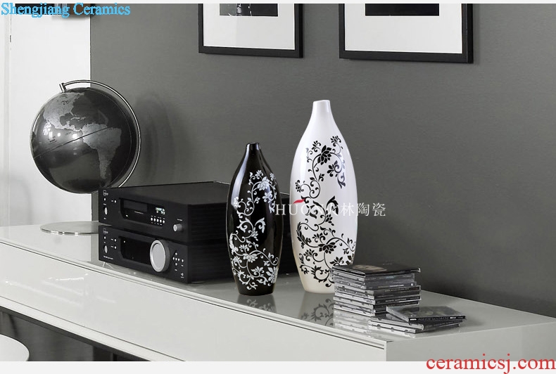 Contemporary and contracted sitting room ark creative arts and crafts porch place TV ark home decoration ceramic vase