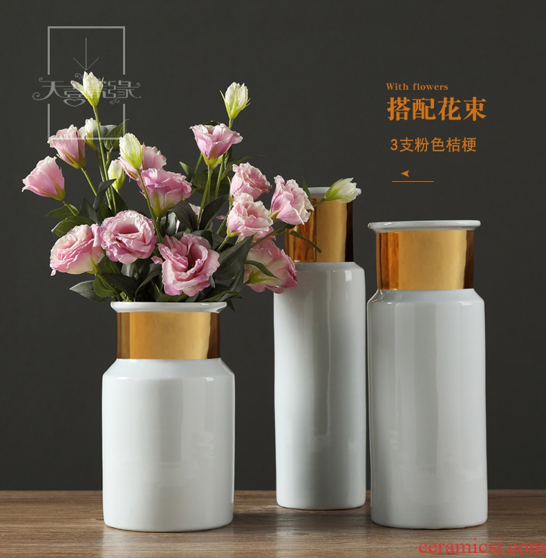 Jingdezhen European furnishing articles contracted ceramic creative living room table household adornment flowers planted porcelain vase