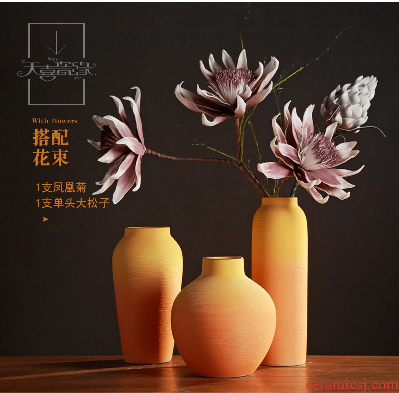 Modern ideas of folk wind Nordic ceramic vase furnishing articles sitting room TV cabinet dry flower arranging household soft adornment