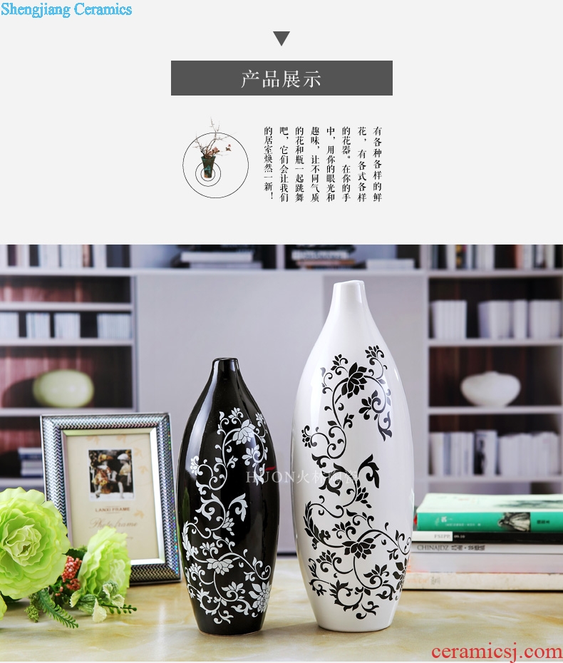 Contemporary and contracted sitting room ark creative arts and crafts porch place TV ark home decoration ceramic vase