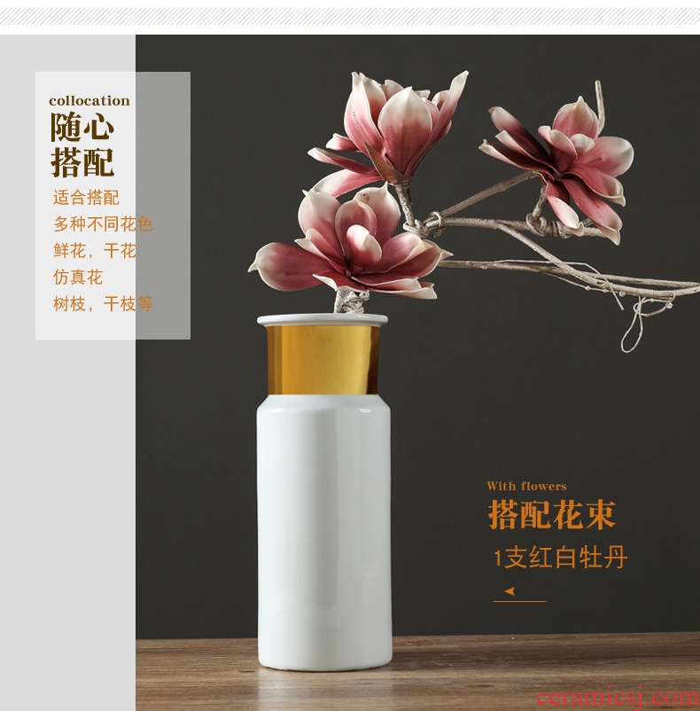 Jingdezhen European furnishing articles contracted ceramic creative living room table household adornment flowers planted porcelain vase