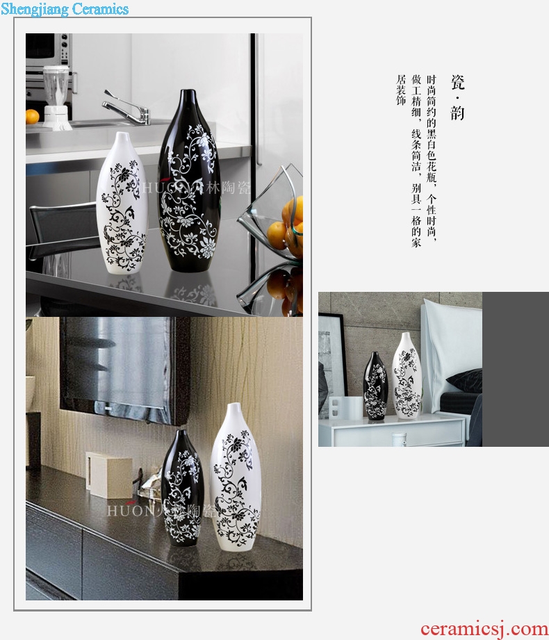 Contemporary and contracted sitting room ark creative arts and crafts porch place TV ark home decoration ceramic vase