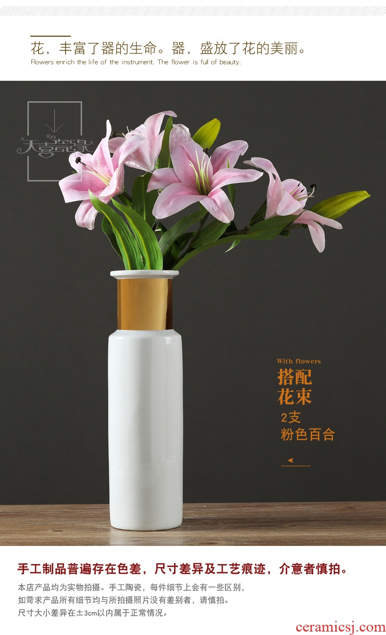 Jingdezhen European furnishing articles contracted ceramic creative living room table household adornment flowers planted porcelain vase