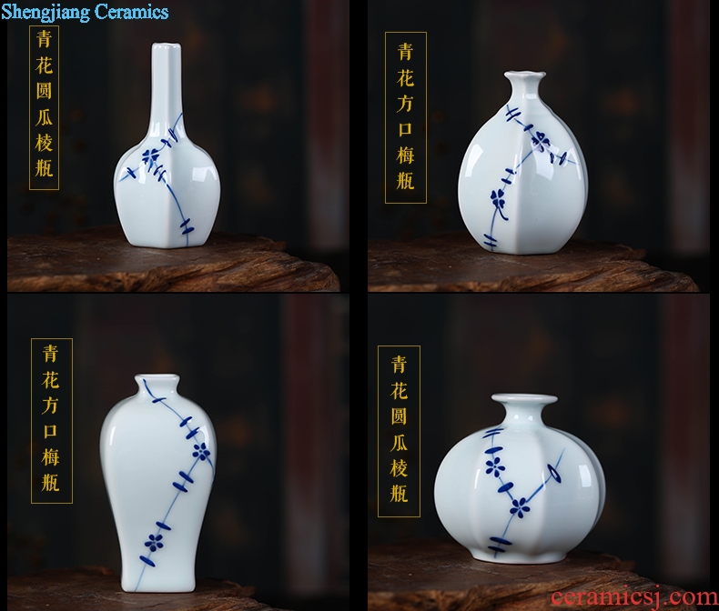 Jingdezhen ceramics vase furnishing articles vases, flower arranging flowers flowers is pet bottle rich ancient frame decoration decoration