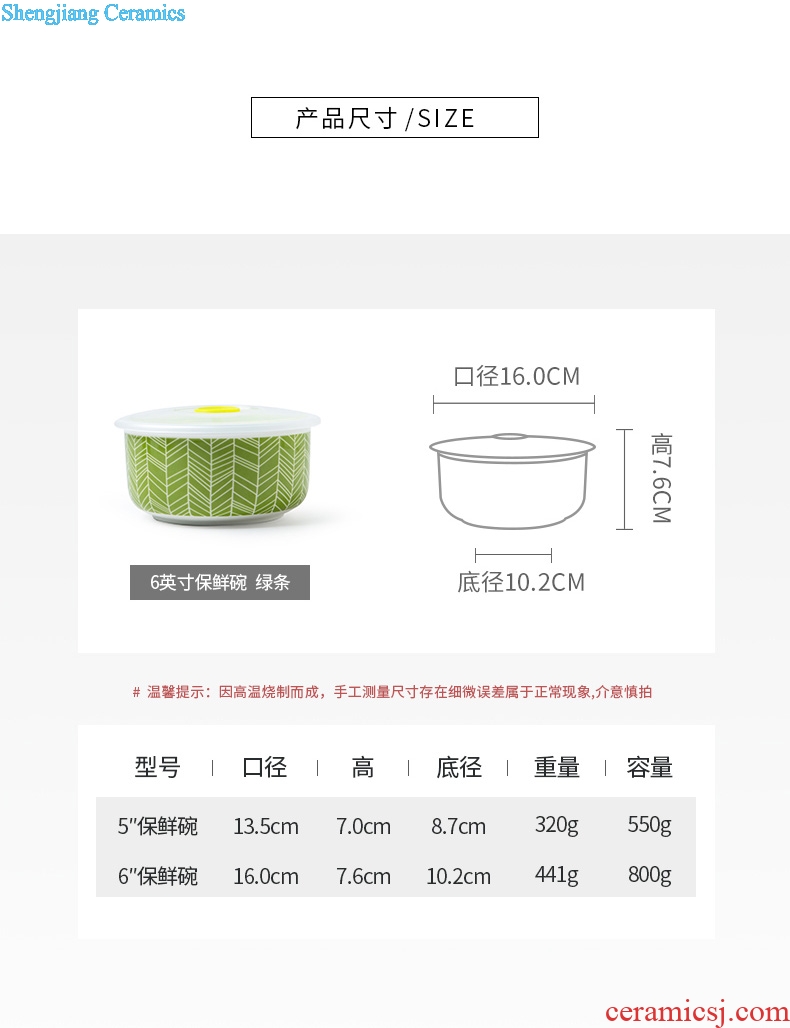 Rainbow noodle bowl with cover the refrigerator bowl suit household large ceramic microwave bento creative lunch box for your job