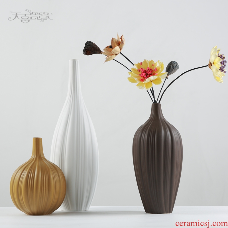 Nordic contracted ceramic vase zen household act the role ofing is tasted the sitting room TV cabinet example room decoration furnishing articles flower arrangement