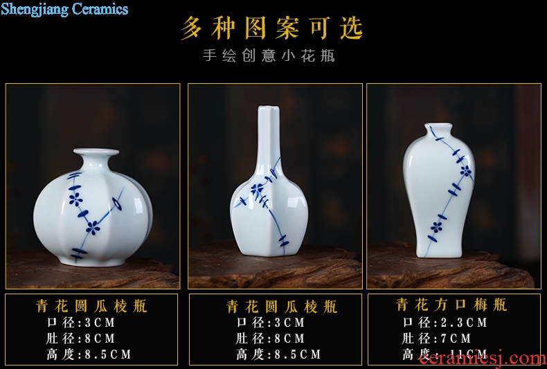 Jingdezhen ceramics vase furnishing articles vases, flower arranging flowers flowers is pet bottle rich ancient frame decoration decoration