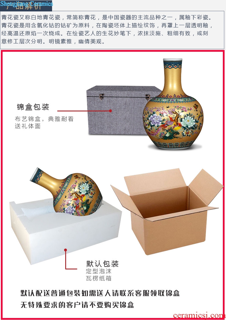 Jingdezhen ceramics of large vases, flower implement flower arranging living room home decoration ceramic bottle furnishing articles