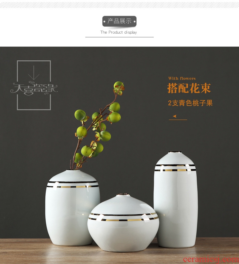 Nordic postmodern creative ceramic vase furnishing articles contracted sitting room of dry flower arranging hotel restaurant home decoration