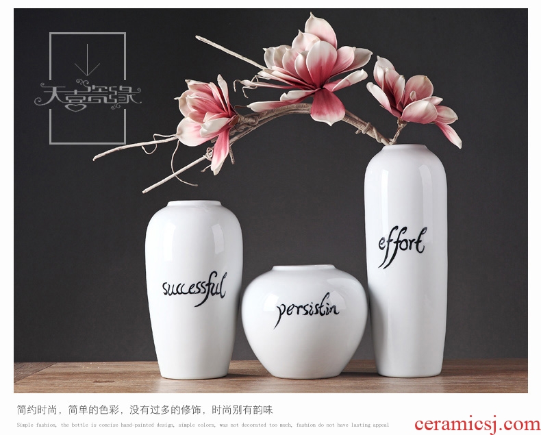 Contemporary and contracted ceramic vase furnishing articles European contracted creative living room TV cabinet flower arranging, home decoration