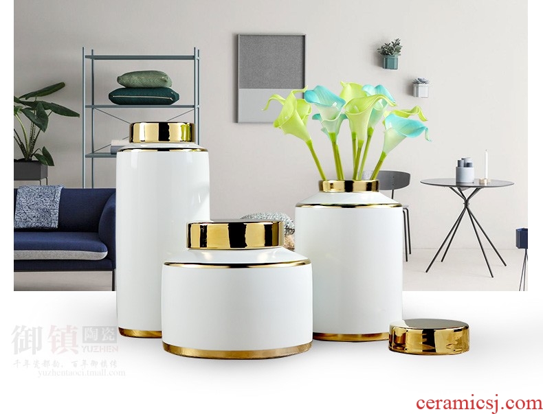 Gold plating hotel sitting room furniture put the vase exchanger with the ceramics creative arts TV ark decorates porch place