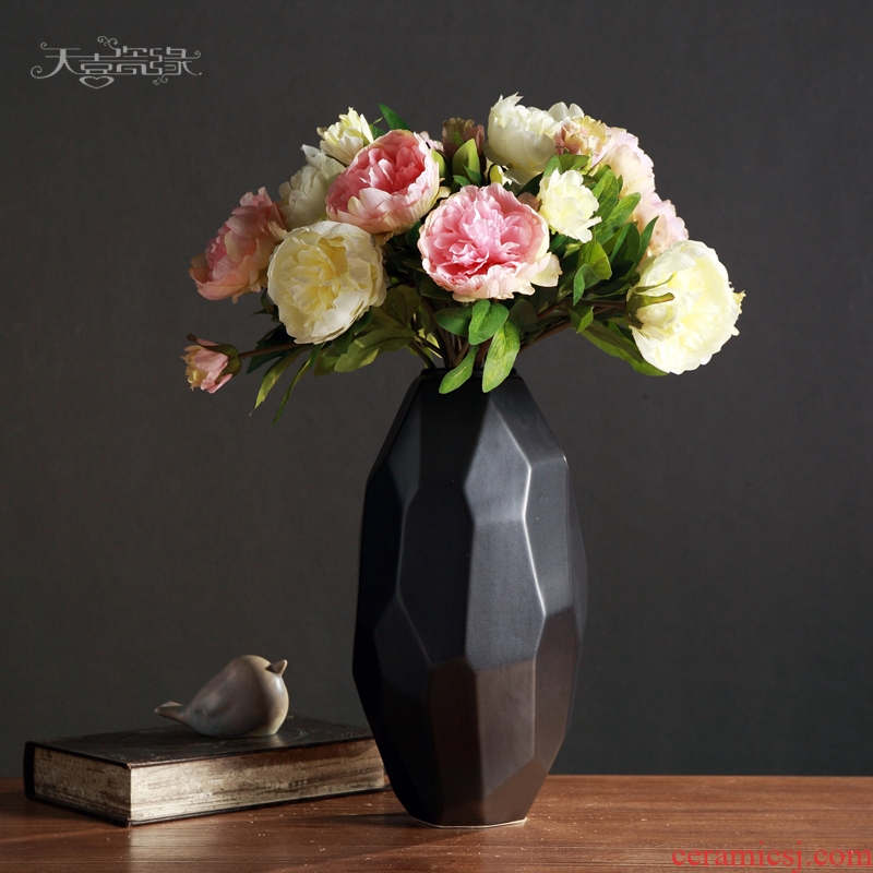 Contemporary and contracted Nordic ceramic vase furnishing articles of the sitting room TV table wine dried flowers, household soft adornment
