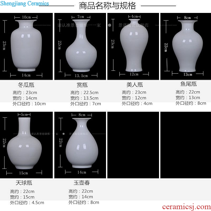 Modern fashion scene, jingdezhen ceramics vase home handicraft furnishing articles home sitting room adornment ornament