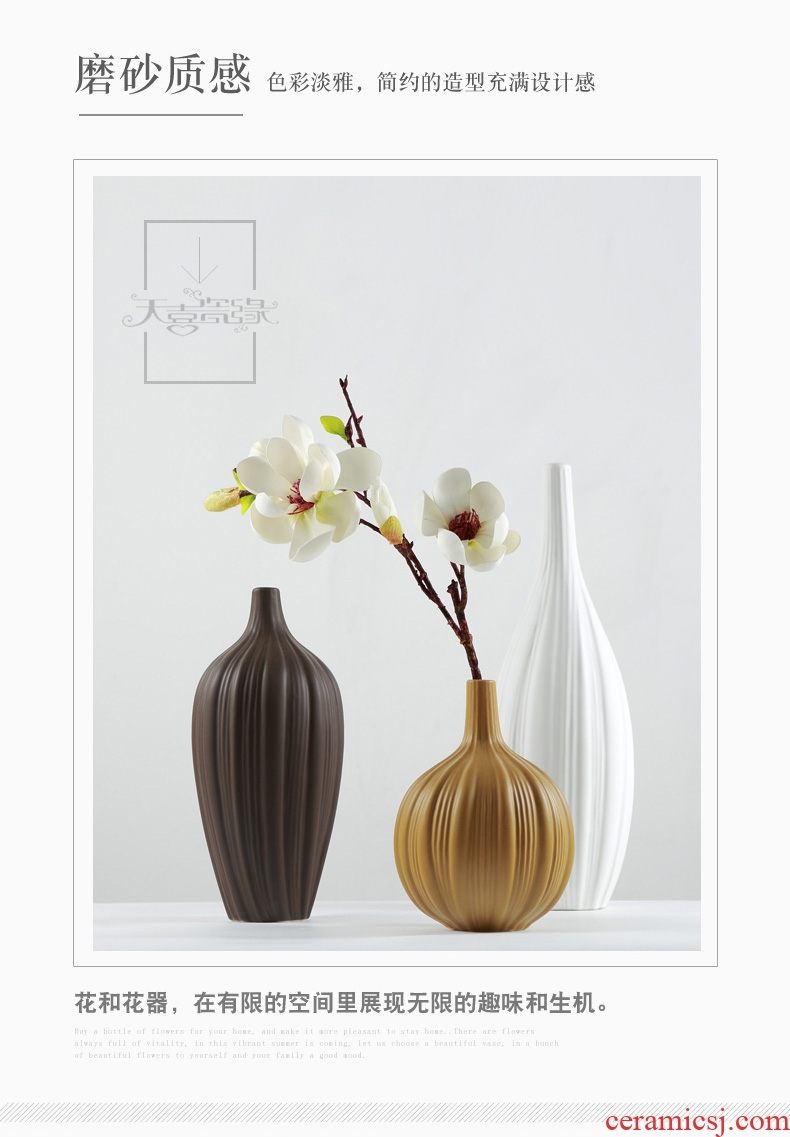 Nordic contracted ceramic vase zen household act the role ofing is tasted the sitting room TV cabinet example room decoration furnishing articles flower arrangement