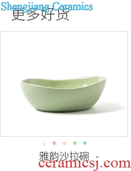 Ijarl million jia creative ceramic tableware American rainbow noodle bowl bowl bubble household salad bowl dessert bowl of the Nile