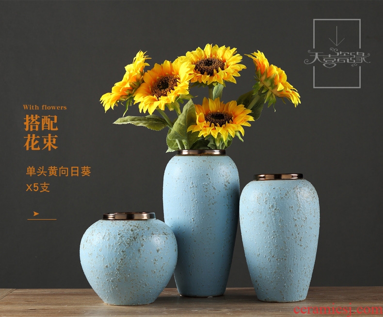 European rural ceramic vase decoration in the sitting room TV ark household table small pure and fresh and dry flower adornment furnishing articles