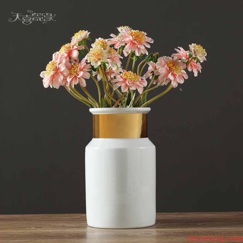 Jingdezhen European furnishing articles contracted ceramic creative living room table household adornment flowers planted porcelain vase