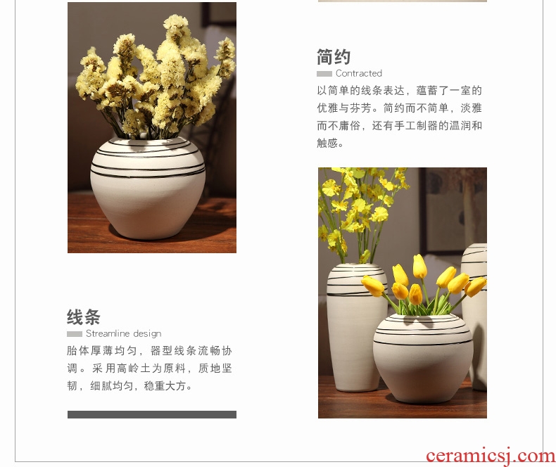 Contracted and contemporary sitting room furniture creative ceramic coarse pottery hydroponic furnishing articles fashion TV cabinet table dry vase
