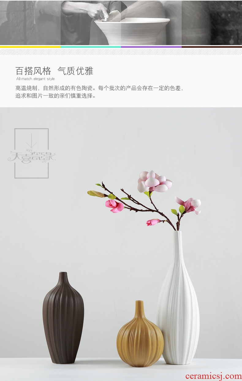 Nordic contracted ceramic vase zen household act the role ofing is tasted the sitting room TV cabinet example room decoration furnishing articles flower arrangement