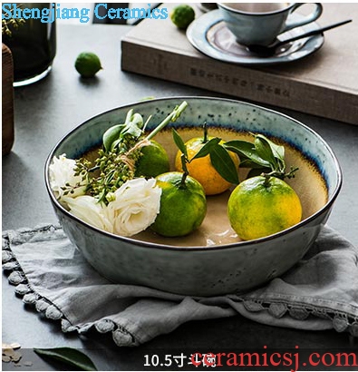 Ijarl million fine ceramics eat rice bowl dessert bowl meal bowl of soup bowl rainbow noodle bowl salad bowl off the coast of Norway