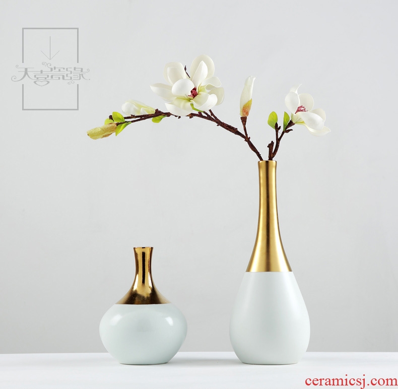 Modern Nordic ceramic vase TV ark place the sitting room porch table is pure and fresh and dry flower art flower arranging soft decoration