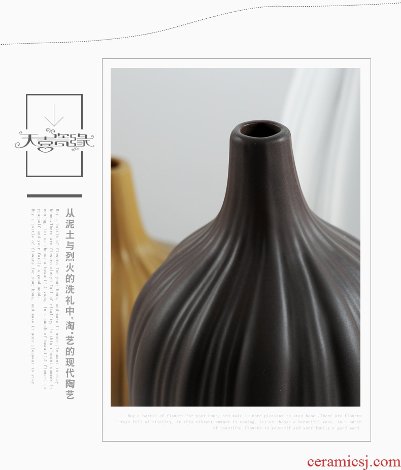 Nordic contracted ceramic vase zen household act the role ofing is tasted the sitting room TV cabinet example room decoration furnishing articles flower arrangement