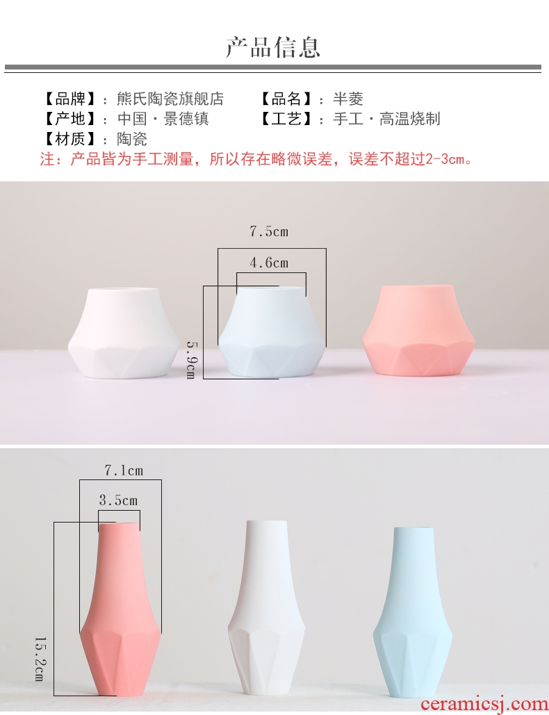 Frosted ins floret bottle ceramic furnishing articles mini wind dried flower arranging flowers small pure and fresh Nordic wind household table decoration
