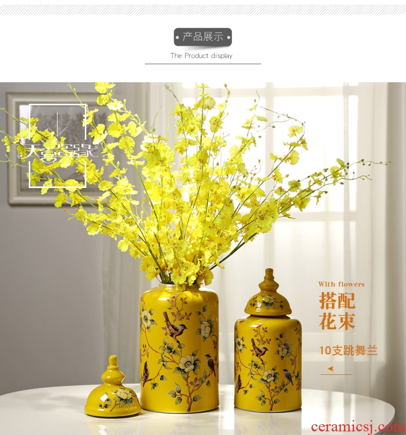 European ceramic storage tank home decoration vase furnishing articles American sitting room porch decoration flower arranging TV ark