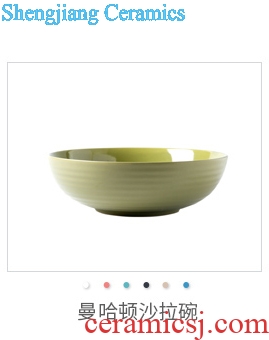 Ijarl million jia household contracted Europe type ceramic fruit and vegetable bowl salad bowl of soup bowl tableware vic beach