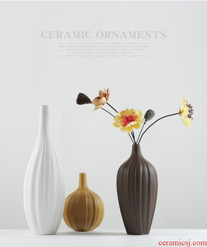 Nordic contracted ceramic vase zen household act the role ofing is tasted the sitting room TV cabinet example room decoration furnishing articles flower arrangement