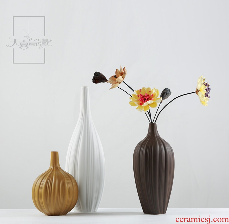 Nordic contracted ceramic vase zen household act the role ofing is tasted the sitting room TV cabinet example room decoration furnishing articles flower arrangement