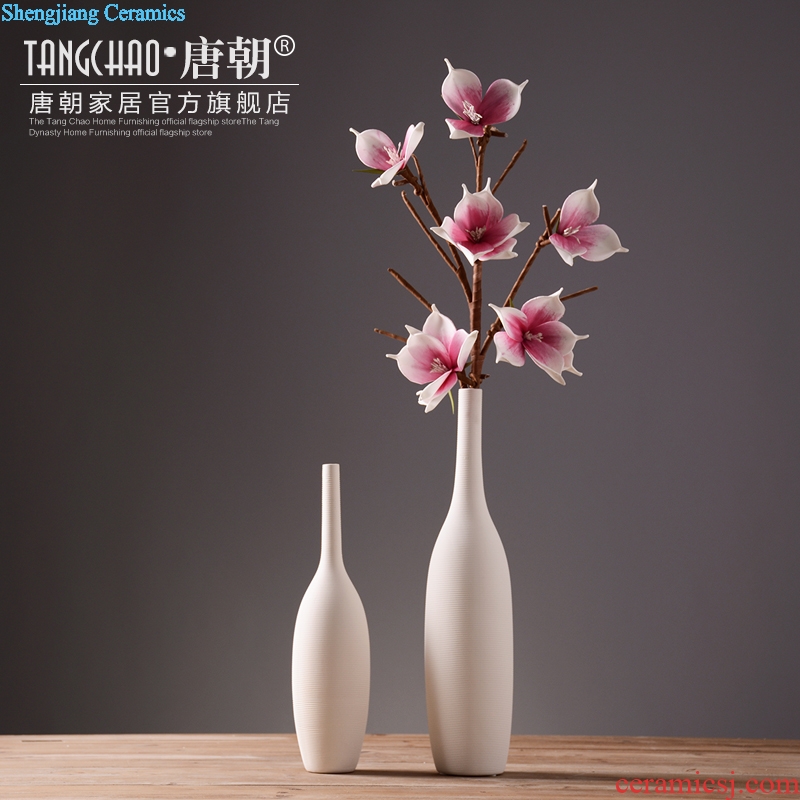 Tang dynasty white fine mouth furnishing articles contemporary and contracted sitting room decoration home decoration ceramic vase dried flowers flower arrangement
