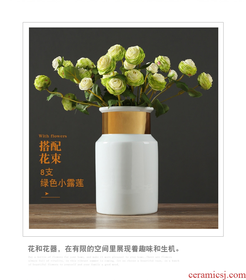 Jingdezhen European furnishing articles contracted ceramic creative living room table household adornment flowers planted porcelain vase