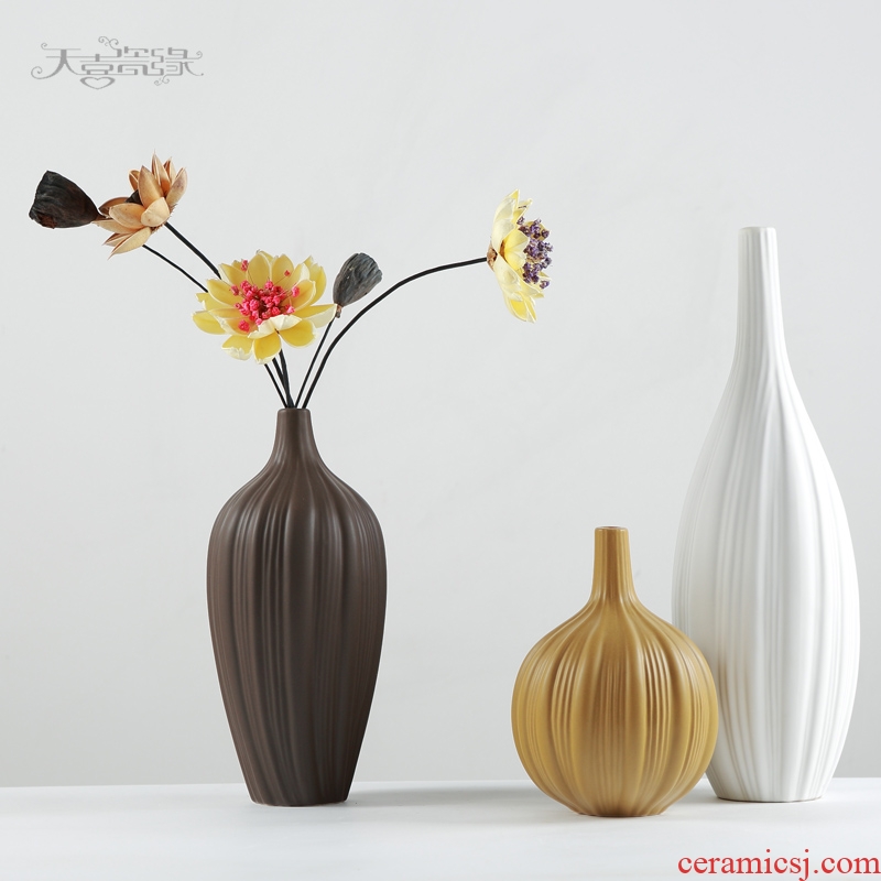 Nordic contracted ceramic vase zen household act the role ofing is tasted the sitting room TV cabinet example room decoration furnishing articles flower arrangement