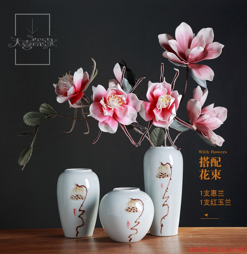 Contemporary and contracted Europe type ceramic vase hydroponic furnishing articles home sitting room TV cabinet table flower decorations