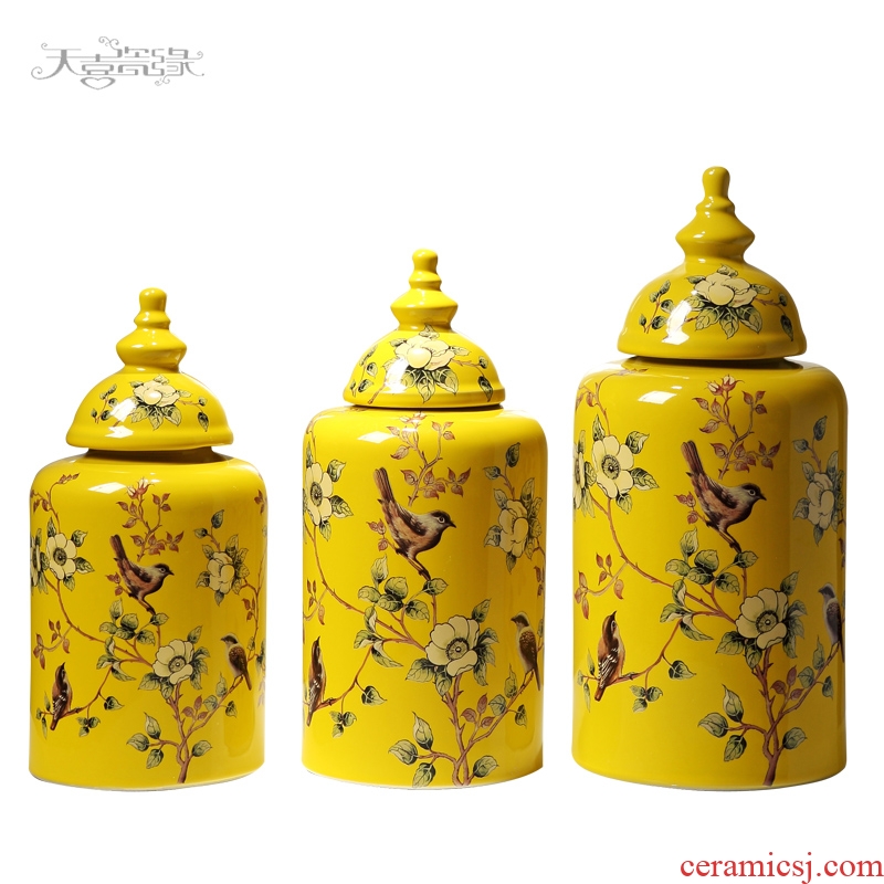 European ceramic storage tank home decoration vase furnishing articles American sitting room porch decoration flower arranging TV ark