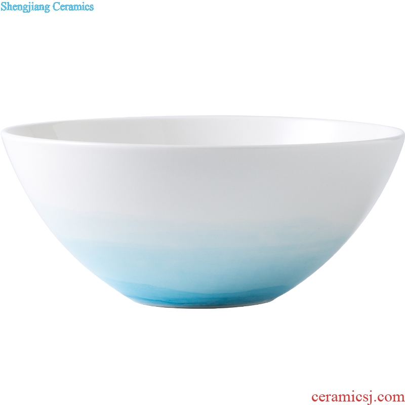 Ijarl million jia rainbow noodle bowl creative household ceramics tableware rice bowls bowl large salad was nice bowl